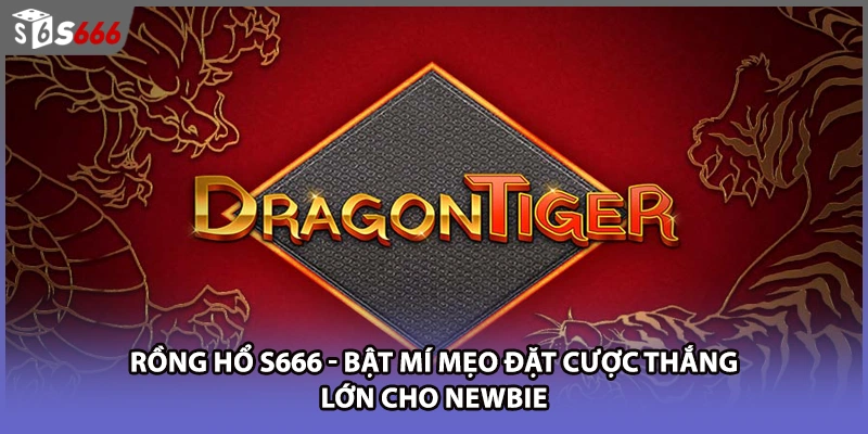 Rồng Hổ S666 - Bật Mí Mẹo Đặt Cược Thắng Lớn Cho Newbie